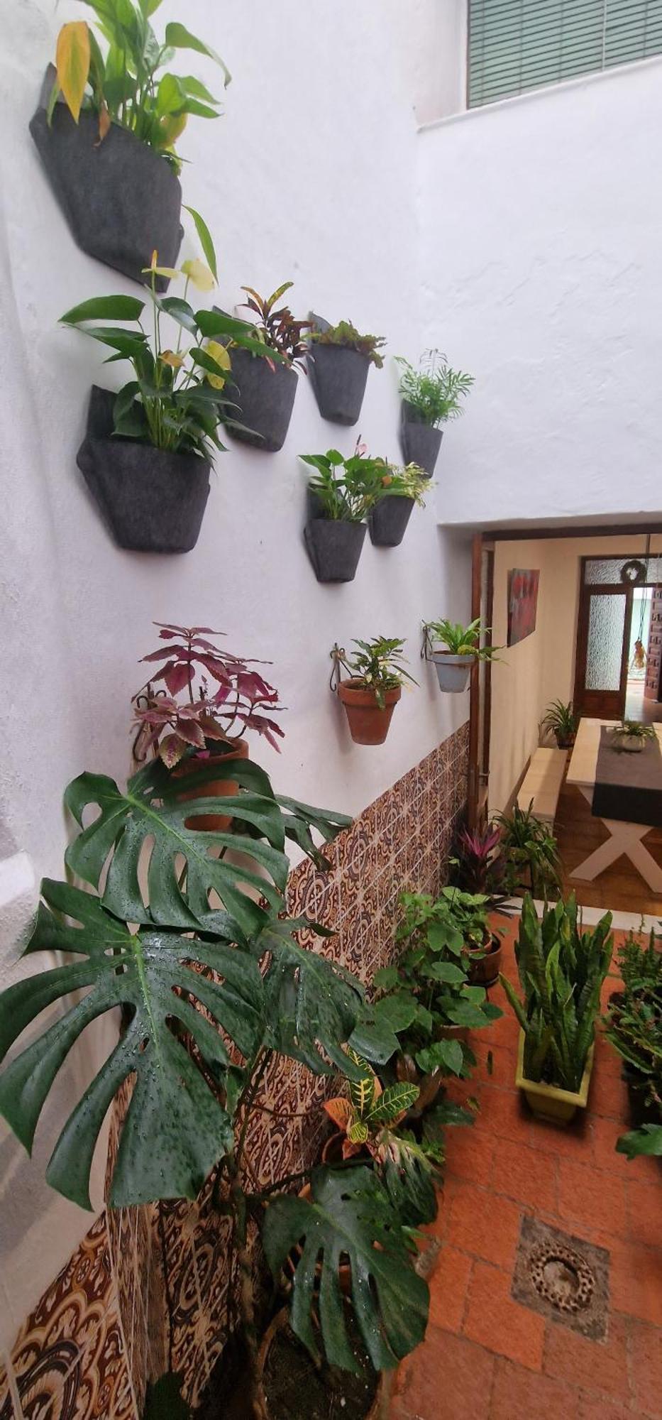La Casa De Abuela Habitaciones Con Bano Compartido En El Casco Historico De Frigiliana "Solo Adultos" Eksteriør billede